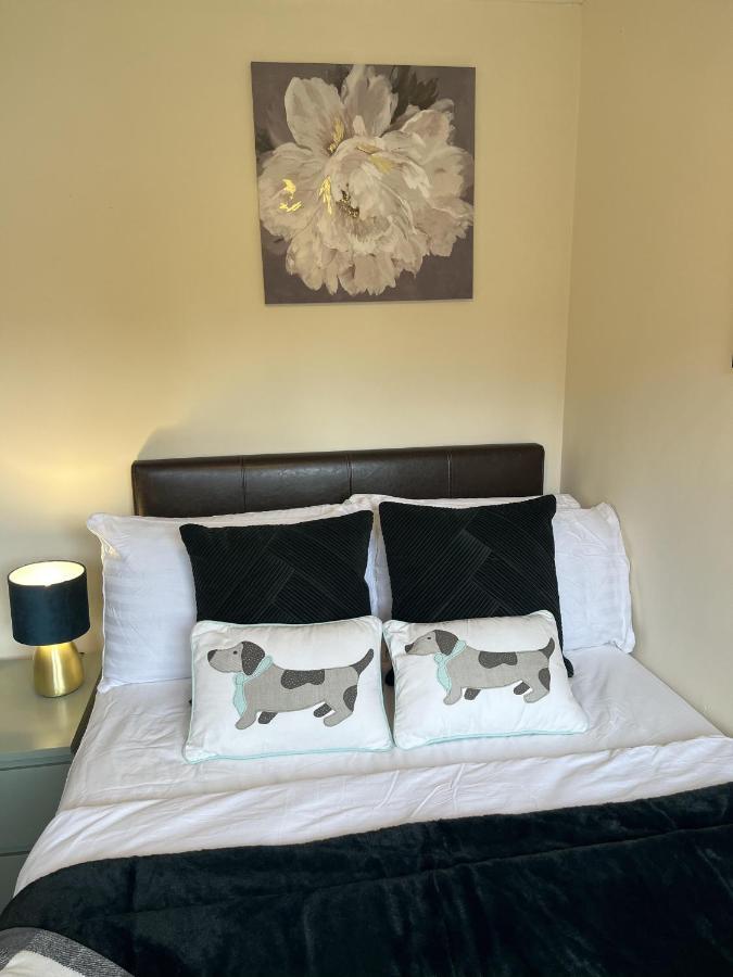 Appartement Elite 47